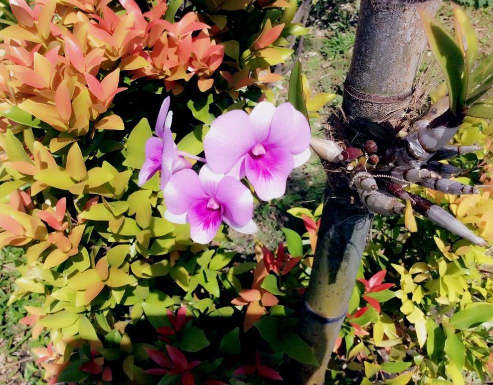 Lanta Wanida Resort Ko Lanta Kültér fotó