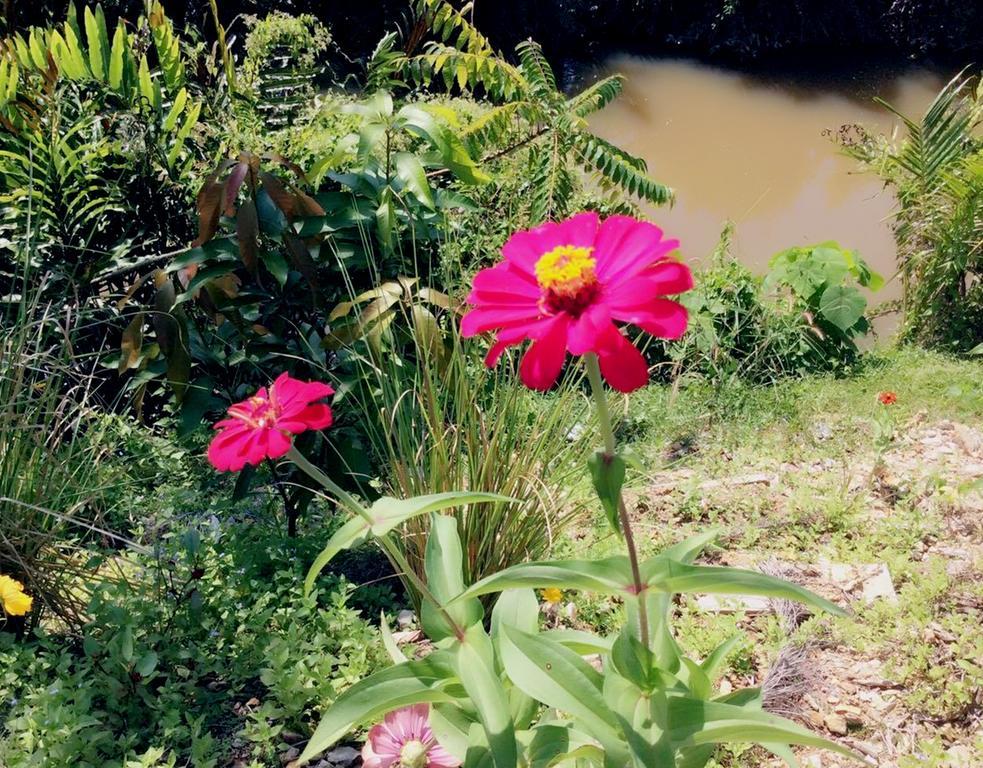 Lanta Wanida Resort Ko Lanta Kültér fotó